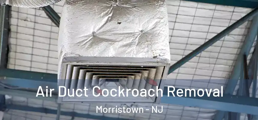 Air Duct Cockroach Removal Morristown - NJ