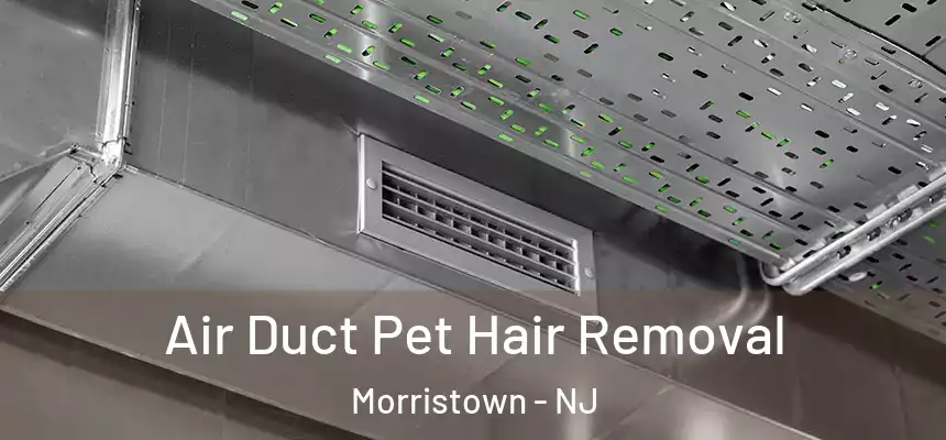 Air Duct Pet Hair Removal Morristown - NJ