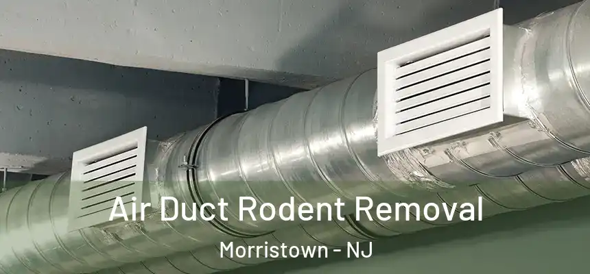 Air Duct Rodent Removal Morristown - NJ