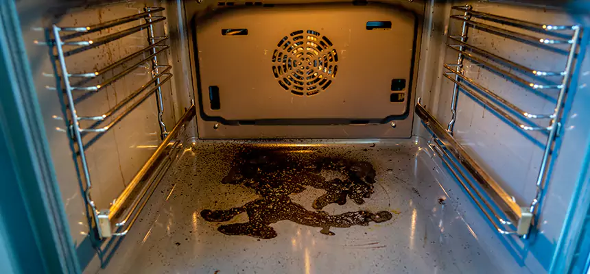 Our Dryer Vent Mold Cleaning Services in Morristown, NJ