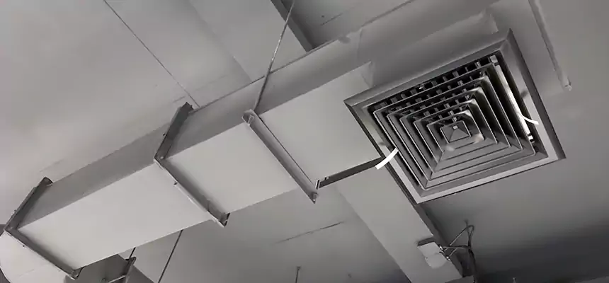 Our Pest Removal From Ducts Services in Morristown, NJ