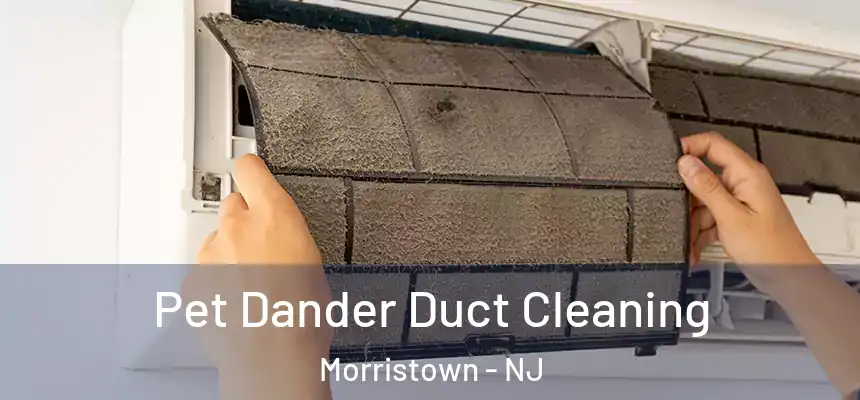Pet Dander Duct Cleaning Morristown - NJ