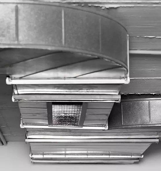 Professional Air Duct Pest Removal in Morristown, NJ