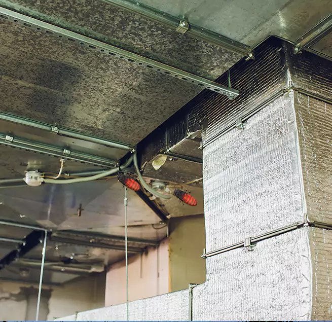 Why Homeowners & Businesses Trust Us in Morristown, NJ?