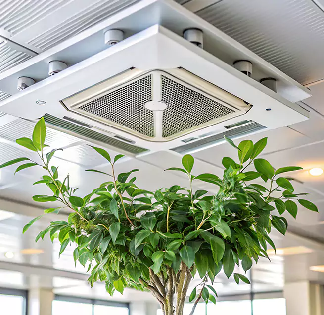 Why Homeowners & Businesses Trust Us in Morristown, NJ